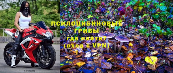 ПСИЛОЦИБИНОВЫЕ ГРИБЫ Богородск
