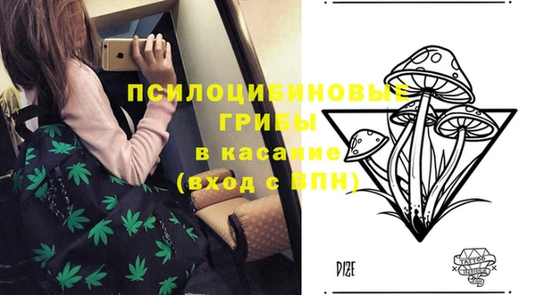 мяу мяу мука Богородицк